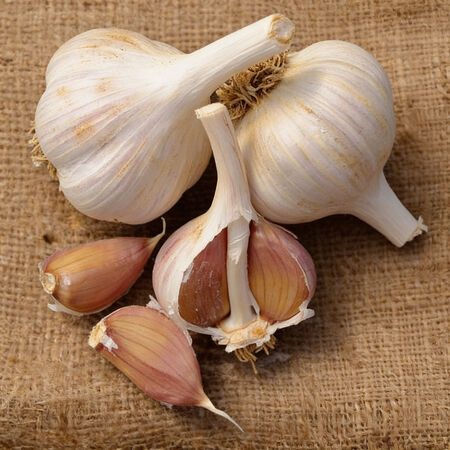 Yugoslavian, Garlic Bulb - 1/4 Pound image number null